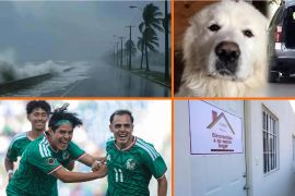 Noticias para el fin de semana: pronóstico del clima, registro de Vivienda para el Bienestar y detienen a la presunta responsable del maltrato contra el perro Rocky