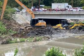 Lanzan llamado a la sociedad a contribuir en la defensa de los ecosistemas | Foto: Especial