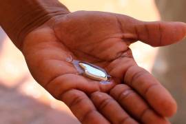 El mercurio, explicó la ONG en el reporte, se utiliza para la extracción del oro, por lo que el químico extraído en Querétaro se exporta de manera ilegal a Colombia y Perú, en donde productores artesanales de oro lo utilizan para la obtención del metal precioso.