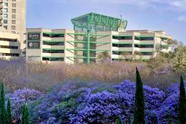 La ASEA informó que su cuenta oficial de Instagram fue vulnerada y pidió ignorar cualquier mensaje difundido desde el perfil.