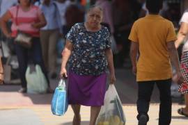La iniciativa plantea entregar 2 mil pesos bimestrales a mujeres jefas de familia con hijas o hijos menores de edad, con una cobertura inicial estimada en 20 mil beneficiarias.