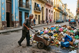 En medio de la crisis de combustible que paraliza la recogida de desechos en La Habana, montones de basura de más de un metro de altura se han convertido en parte usual del paisaje,