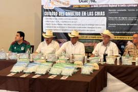El líder ganadero refirió que si bien el trámite es más barato para viajes con 10 o más bovinos, de 300 pesos por cabeza, el costo para movilizar menos animales golpea desproporcionadamente a los pequeños productores.