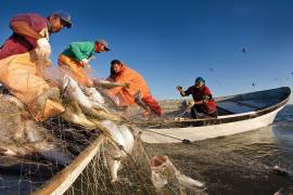 Pescadores de La Ventosa, Salina Cruz, reclaman que la petrolera retire sus ductos-emisores que descargan residuos en la zona de pesca.