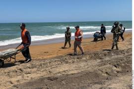 Analistas advierten que esta falta de capacidad técnica y la laxitud de la ASEA ahuyentarán inversiones y serán un punto crítico en la próxima revisión del T-MEC.