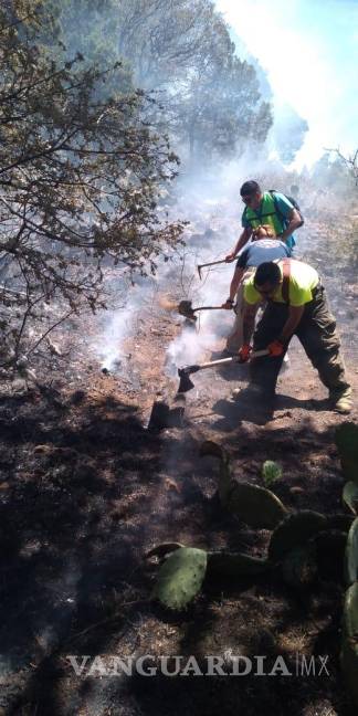 $!Incendio consume 100 hectáreas de pastizal en El Tunal, en Arteaga; logran controlarlo