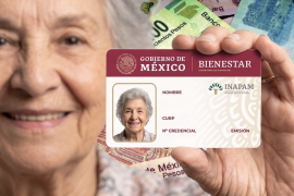 El programa de Vinculación Productiva del INAPAM permite que las personas de la tercera edad que continúan trabajando formalmente accedan al reparto de utilidades.