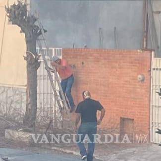 $!La asociación Saltillo Verde ha invitado a la comunidad a ser vigilante y denunciar cualquier actividad que afecte la flora urbana, como la tala ilegal de árboles en espacios públicos.