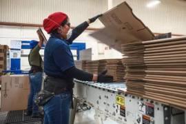 Las actividades económicas del sector terciario (comercio, servicios y relacionados) en noviembre tuvieron un moderado aumento con respecto al año pasado.