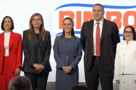 En dicho plan, la Administración de Claudia Sheinbaum Pardo busca elevar la proporción de inversión pública y privada por encima del 25 por ciento del producto interno bruto (PIB) a partir de 2026.