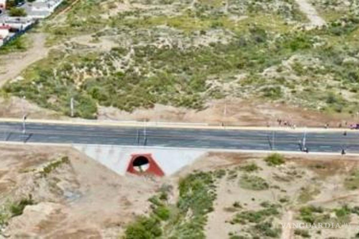 $!El puente que une a las colonias Zaragoza y Mirasierra tuvo una inversión de poco más de 13 millones de pesos.