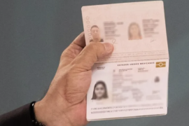 El proceso también exige la participación activa de los padres o tutores.