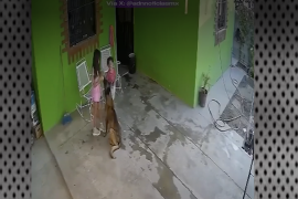 La menor de ocho años fue sometida a una cirugía de emergencia tras sufrir graves lesiones en el cuero cabelludo durante el ataque ocurrido en Frontera, Coahuila.