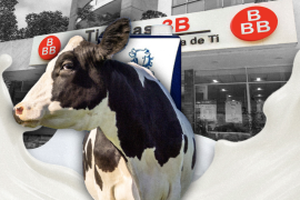 El estudio de Profeco encontró resultados favorables en distintas presentaciones de Vaca Blanca, marca que se comercializa en Tiendas 3B.