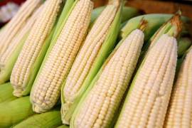 Se trata de una inversión que refuerza el liderazgo estadounidense en ciencia agrícola al tiempo que fortalece los sistemas alimentarios a nivel global.