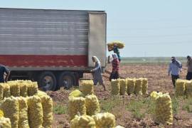 Un partido con visión: Toman bandera de Zapata para lograr el cambio en Coahuila