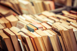Por no devolver 222 libros de una biblioteca lo detuvieron en España