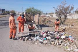 Villa Zaragoza, Campo Nuevo Zaragoza, Monterreal y Santa Sofía concentran mayor problemática.