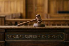 Piden que en los procesos familiares se privilegie el interés superior de los menores.