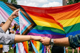 Argumentos. La versión actual de la Bandera del Progreso integra elementos de distintos emblemas creados entre 1978 y 2018 para representar a más sectores de la comunidad.