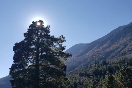 La caminata de nivel intermedio busca reunir a amantes de la naturaleza para disfrutar la Sierra de La Martha mientras ayudan a quienes más lo necesitan.