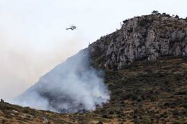 Incendio en la Sierra de Zapalinamé, controlado y liquidado al 90%