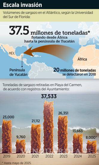 $!Fracasa estrategia contra el sargazo a las playas de Quintana Roo