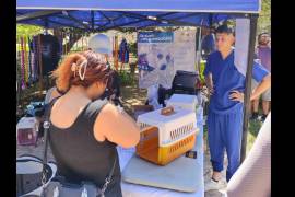 Durante la feria, se podrá convivir con mascotas rescatadas que buscan un hogar responsable y recibir servicios veterinarios a bajo costo.