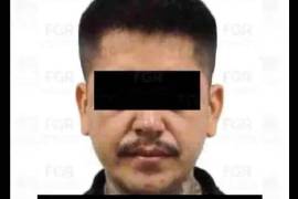 El caso se suma a los operativos reportados por autoridades federales en Michoacán.