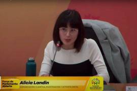 La activista Alicia Landin aclaró que durante su participación en el Parlamento Abierto pidió desechar la reforma eléctrica de AMLO