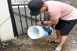 Autoridades sanitarias exhortan a limpiar patios y eliminar objetos que acumulen agua.