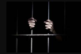 El armamento asegurado incluye dos armas largas, un arma corta, cartuchos y cargadores de diversos calibres, decomisados durante la detención en el municipio de Ocampo.