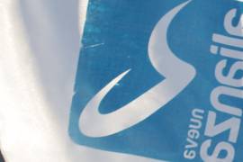 Partido Nueva Alianza de Coahuila que perdió su registro ante el INE, deja deuda por más de 7 millones de pesos