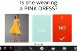 'Déjame cortar la clase'... maestra de la UAEM es agredida en plena clase virtual (audio)