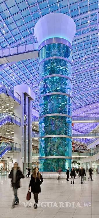 $!AquaDom, el acuario cilíndrico más grande del mundo