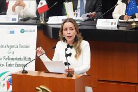 Verónica Martínez solicitó licencia en el Congreso de la Unión, para contender en las elecciones locales de Coahuila.