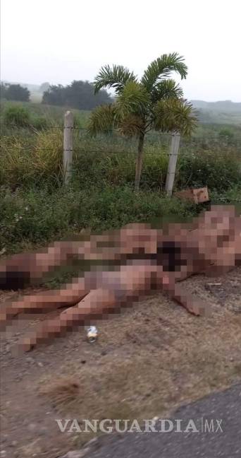 $!Arrojan 9 cuerpos en carretera de Veracruz; dejan mensaje al secretario de Gobierno