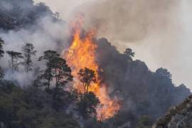 Los incendios forestales han arreciado en este año, pese a también reportarse más lluvias en este 2025.