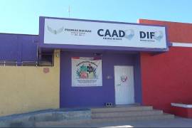 Psicólogos del CAAD trabajan en la elaboración de planes de apoyo emocional con jóvenes en situación de riesgo.