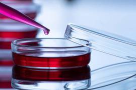 El curso está dirigido a estudiantes, profesionistas e interesados en las ciencias biomédicas y biotecnológicas.