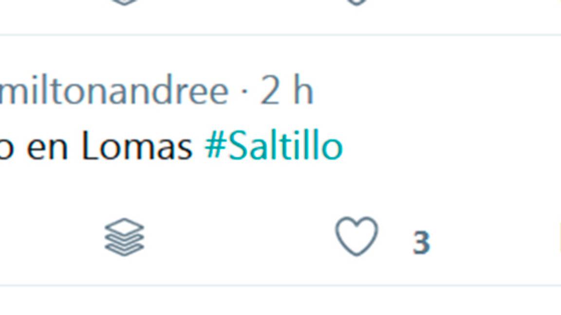 $!Tigre "suelto" causa polémica en Saltillo... era de peluche