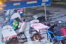 Maltrato animal en Michoacán, el culpable fue captado en cámara.