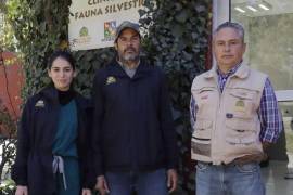 Especialistas del museo buscan concretar el proyecto durante el año en curso.