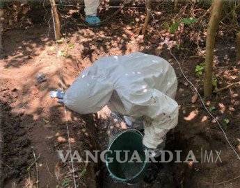$!Indagan presunto vínculo de policía de Duarte con hallazgo de 166 cráneos en fosa de Veracruz