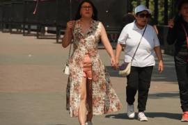 84% del suelo urbano está cubierto por calles, edificios, estacionamientos y otras superficies impermeables, provocando que las llamadas islas de calor eleven la temperatura entre tres y hasta nueve grados respecto a las zonas con vegetación.