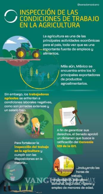 $!Los tres puntos del Senado en México que debes conocer en imágenes (Infografías)