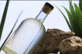 Coahuila produce actualmente entre 25 mil y 30 mil litros anuales, aunque tiene capacidad para llegar a 100 mil litros.