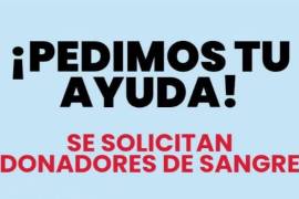 La cita para donar puede tramitarse a través de la plataforma digital del IMSS o acudir directamente sin cita previa a las 7:00 horas.