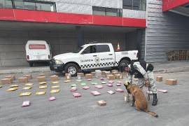 Elementos de la Guardia Nacional lograron interceptar 80 paquetes con droga que tenían como destino 22 entidades de la República, entre ellos, Coahuila, en Nuevo León.