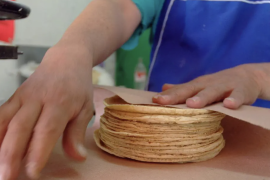 El precio del kilo de tortilla se mantiene entre 25 y 32 pesos en la Región Lagunera, pese al aumento en insumos.